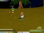 Seal-Online-Game-play