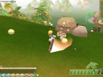 Seal-Online-Gameplay