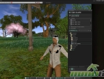 Second-Life-Customize