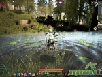 shadow-arena-river