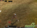 Shaiya-94-Dmg