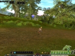 Shaiya-Forest-f