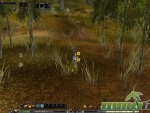 Shaiya-Free-MMORPG