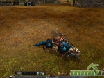 Shaiya-Lizard