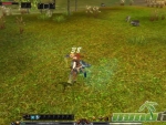 Shaiya-MMORPGs