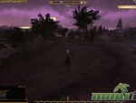 shroud-the-avatar-trees