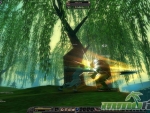 Silkroad-Online-R-02-gameplay