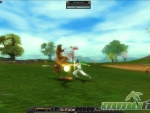 Silkroad-Online-R-MMORPG
