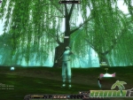 Silkroad-Online-R-Pet