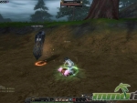 Silkroad-Online-R-Pig-loot