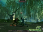 Silkroad-Online-R-Swamp-Night