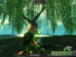 Silkroad-Online-R-Tree