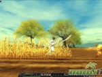 Silkroad-Online-R-Wheat