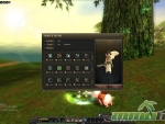 Silkroad-Online-R-Wings
