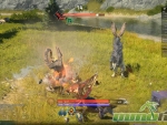 SkyForge-argali