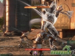 SkyForge-vird-leader