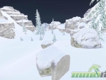 snow-crashed-and-died