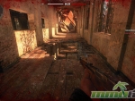 Survarium-hole