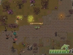 survived-by-areas