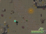 survived-by-biome