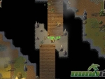 survived-by-bridge
