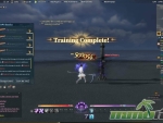 swords-of-legends-online-training-dummy