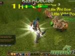 talisman-online-combat