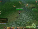 talisman-online-forest