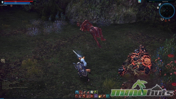 Tera-2015-Screenshot-f2p