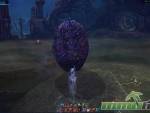 Tera-Egg-2221
