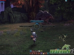 Tera-Gameplay-02