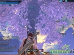 tera-big-tree