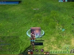 tera-chest