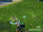 tera-plants