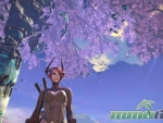 tera-tree
