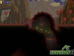 terraria-entrance