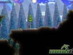 terraria-game-29