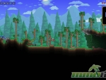 terraria-trees-wood