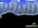 terraria-winer