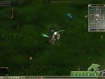 thang-online-forest-birds