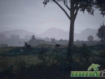 the-black-death-deer