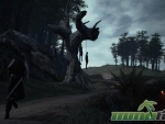 the-black-death-mmo
