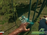 the-culling-skeleton
