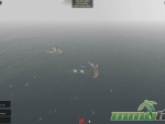 the-pirate-caribbean-hunt-double-cannon-balls