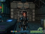 the-repopulation-profile