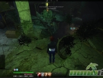 The-Secret-World-vegetation