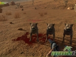 the-skies-evil-dogs-first