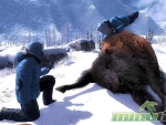 thehunter-bison