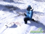 thehunter-snowshoehare