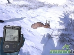 thehunter-sunkendeer